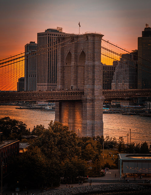 thE bRidgE (Framed Poster 16"x20")